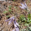 정선읍사무소 이미지