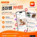 창의폭발 종이접기 네이버블로그