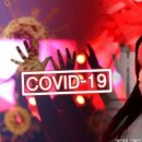 제주 로얄 나이트클럽 이미지