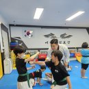 비상태권도 이미지