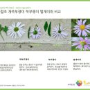 대안마을 이미지