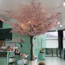 나라라펫 이미지