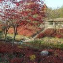 왕송못동로 이미지