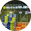 신도림마트 영등포농협 하나로마트 신도림점에서 장보기