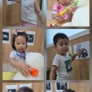 토닥토닥동물병원 Daum카페