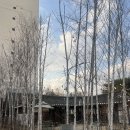 그림정원 이미지