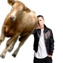 민속원조갈비 이미지