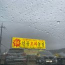 호일농장 | 시흥 계수동 오리주물럭 노포 맛집 안골 오리농장 내 돈 내산 후기