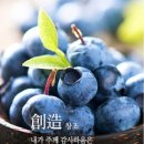 천년의 하루 이미지