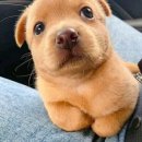 시흥대로63길 이미지