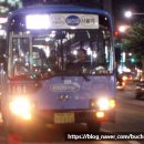 선일교통(주) 이미지