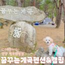 여름 물놀이하기 좋은 계곡캠핑장 양양꿈꾸는계곡펜션&amp;캠핑