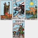 저녁) 인생 이모작 지혜 사주명리 | 나의 운명/타로공부하는법/셀프타로/신종민타로/사주명리공부/오늘운/카카옥타로/타로주제/예쁜타로카드...