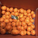 효우농장 이미지