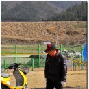 강토 이미지