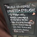 바네사아이래쉬