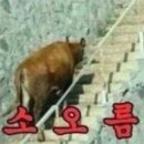 은아 이미지
