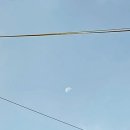 왕벚꽃식당 | 제주공항 용두암 근처 찐도민맛집 1만원 왕벚꽃백반 (아침식사 가능!)