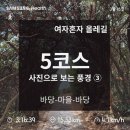 천2리7리새마을회관 | [제주도 올레길 5코스] 구간별 완주 후기③ : 위미1리복지회관~쇠소깍다리