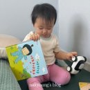핀덴베베 핀덴베베미니 핀덴톡톡 당근마켓으로 들인 후기(✔ 12개월 아가)