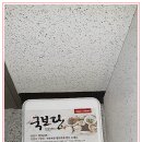 국보당 이미지