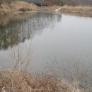 소바우