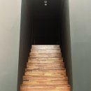 태권위드 태권도장 이미지