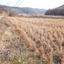 충주댐주유소 이미지