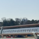 온양온천시장 | 온양온천시장 방문 후기 | 공영주차타워 정보부터 명물짜장, 찹쌀호떡까지