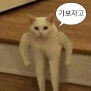 서울축산업협동조합 사료사업본부 | 지나가지 못하고 고이는데