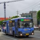 교동큰약국 이미지