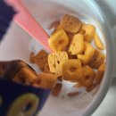 황치즈 미쯔 우유말먹 이미지