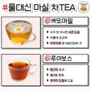 물 대신에 마셔도 되는 차(TEA)종류 이미지