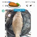 신원낚시터 이미지