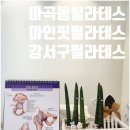 틔움직업재활센터 | 강서구 마곡동필라테스 마인핏, 재활전문 센터 체험 후 30회 회원권 끊은 후기