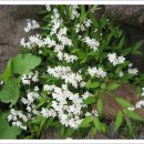 청곡사주차장 이미지