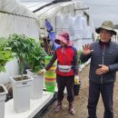 박현순 농장 이미지