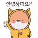 출근길 강아지 유치원 이미지