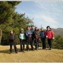 2009.1.8.산새소리방 신년산행 이미지