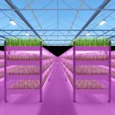 팜스마트 이미지