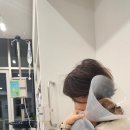 명성동물병원 - 이천시 설가로 4 | [당뇨견 종대]강아지 당뇨성 급성 백내장 수술 및 후기(ft. 전주 아이들 동물병원)