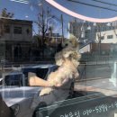 꽃남아 사랑해 이미지