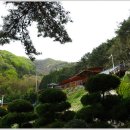 내서읍704 이미지