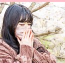 나라꽃안경 이미지