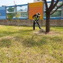 부산해사고등학교 이미지