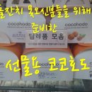 코코호도과자중동