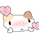 더슈퍼맨 이미지