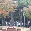아줌마옷수선