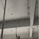 세이폴스튜디오 이미지