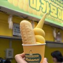 영월 서부시장 먹거리 마카모이 가나닭강정 영월빈대떡 후기
